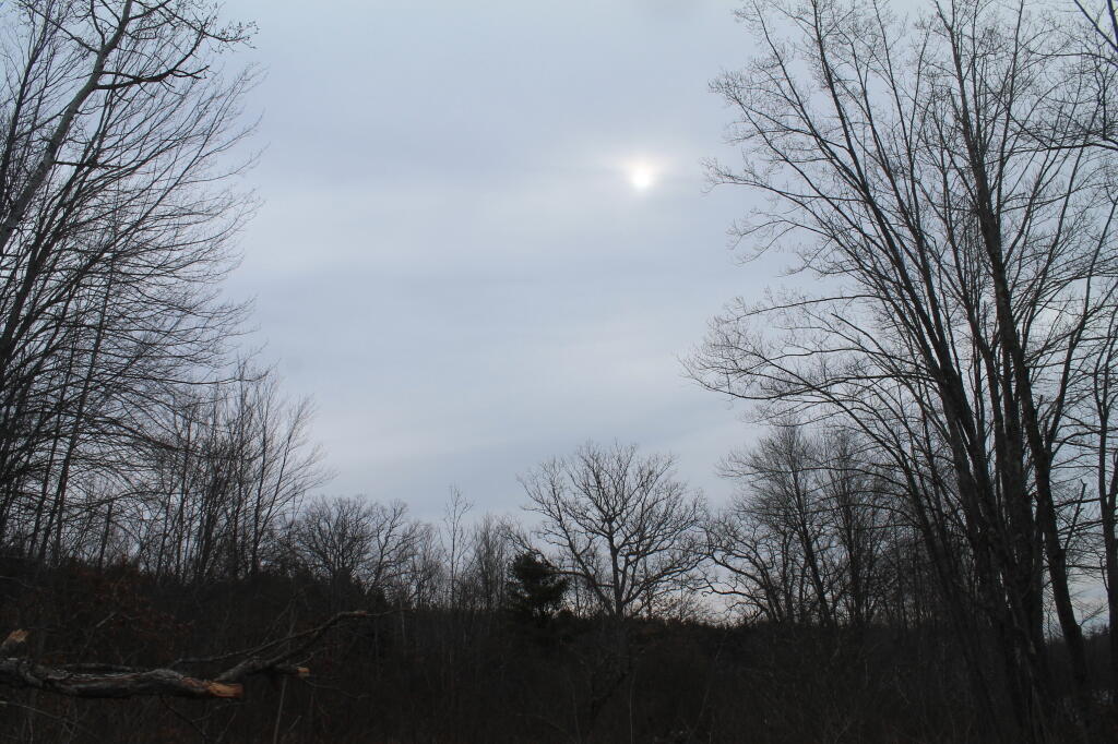 Photo: Cloudy Morning