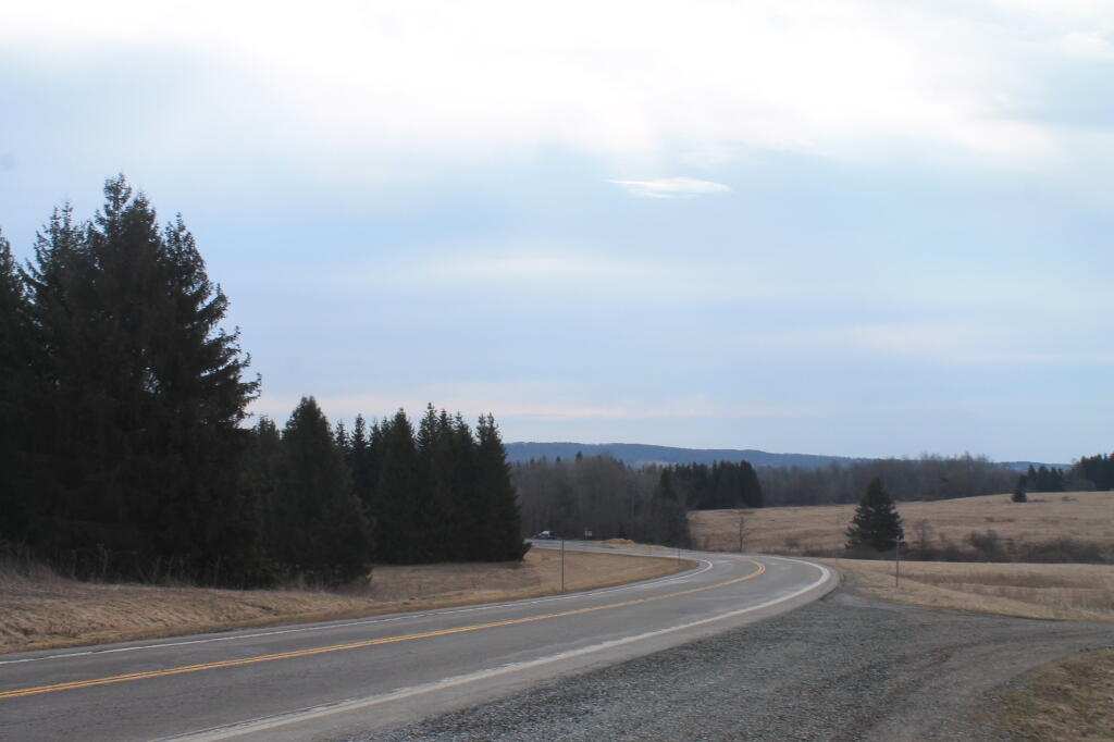 Photo: NY 41 Heading Into Smithville Flats