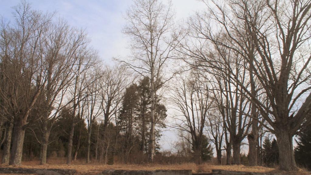 Photo: Tarbell Farms Foundation