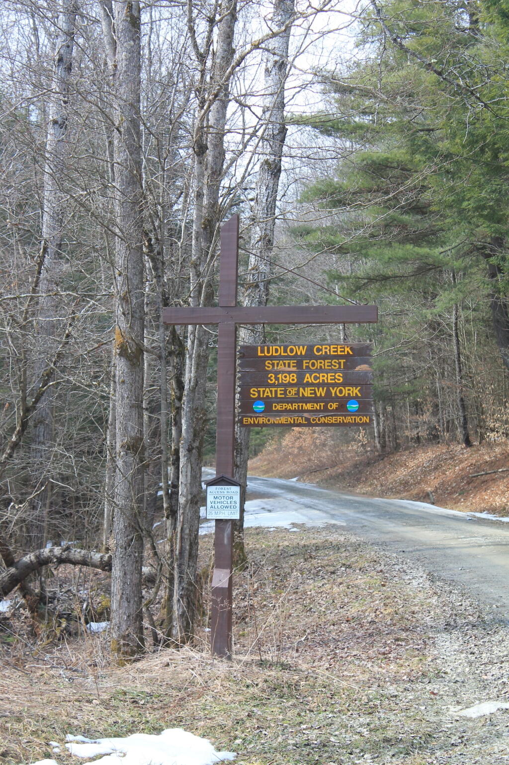Photo: Ludlow Creek State Forest