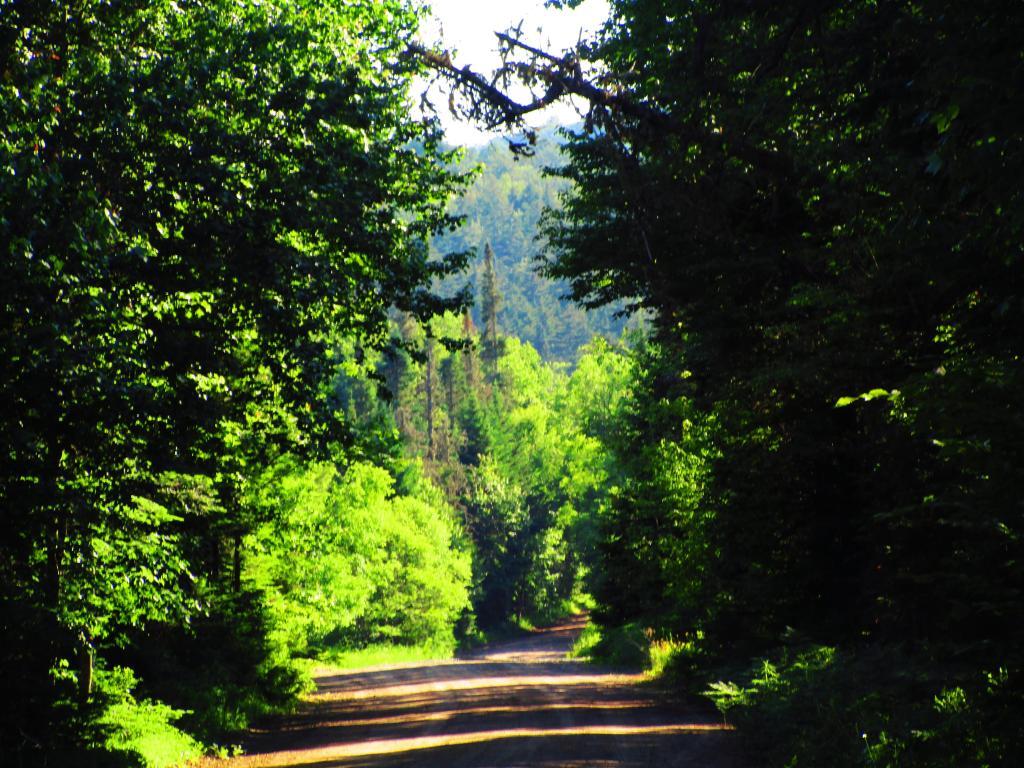 Photo: Powley Road