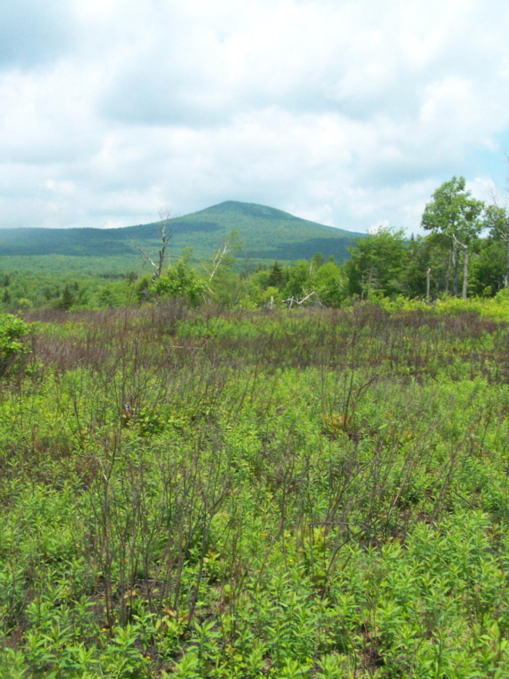 Photo: Stratton Mountain