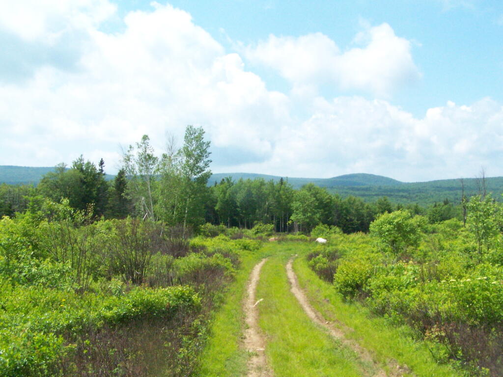 Photo: Hills Along Kelley Stanton Road