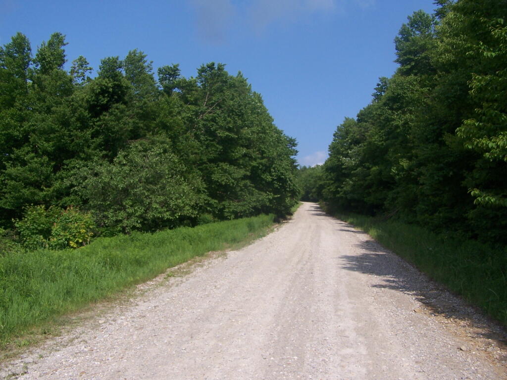 Photo: Forest Road 71