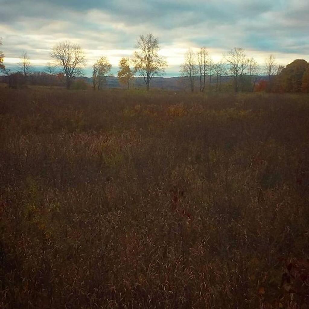 Photo: The start of the day