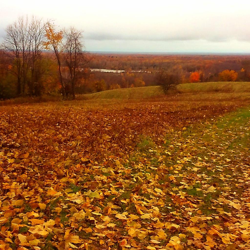Photo: Autumn