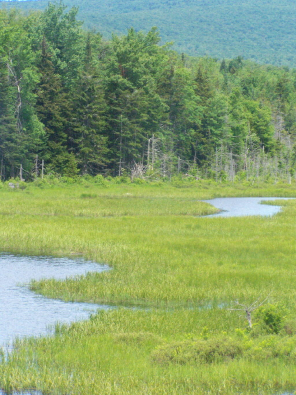 Photo: Deerfield River
