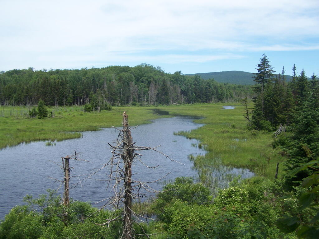 Photo: Deerfield River Widens