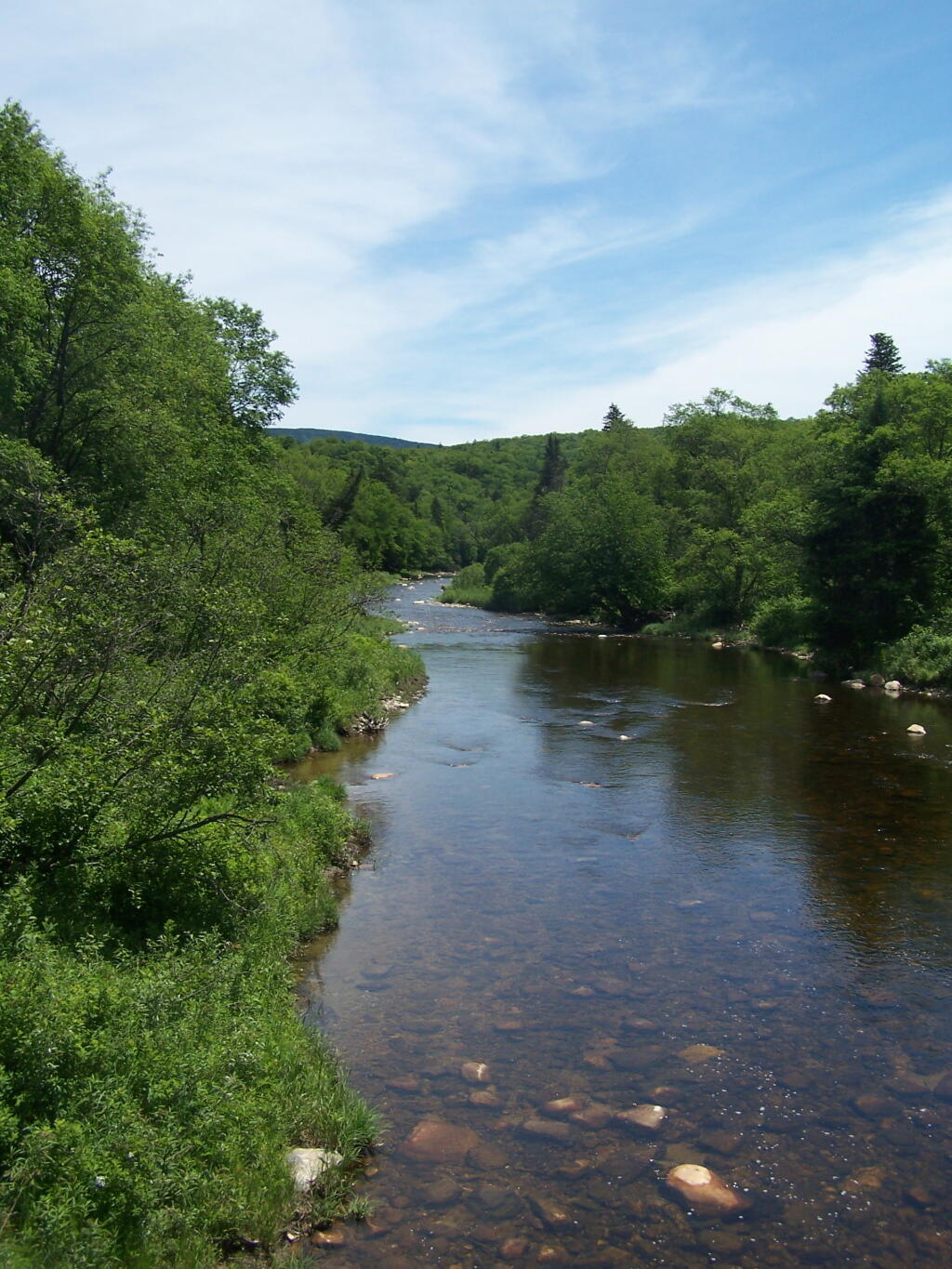 Photo: South Branch of Deerfield River (Looking East from Bridge)
