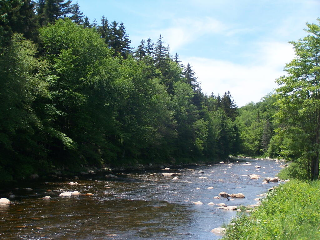 Photo: Rocky Deerfield River