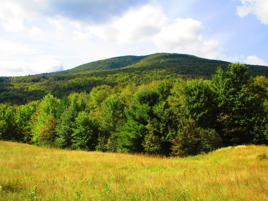 Photo: Cave Mountain