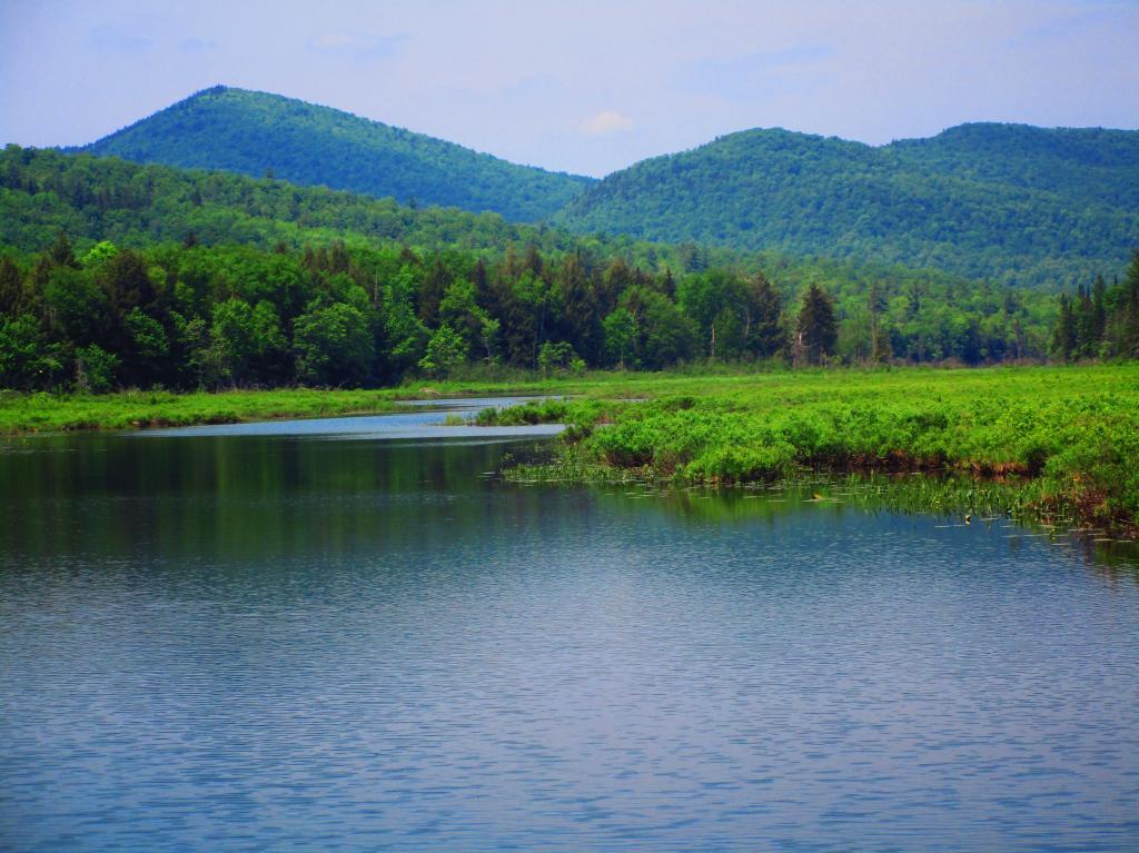Photo: Elm Lake