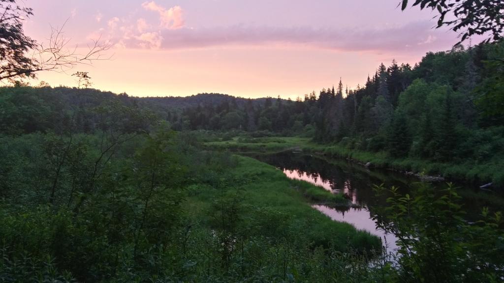 Photo: First evening of summer