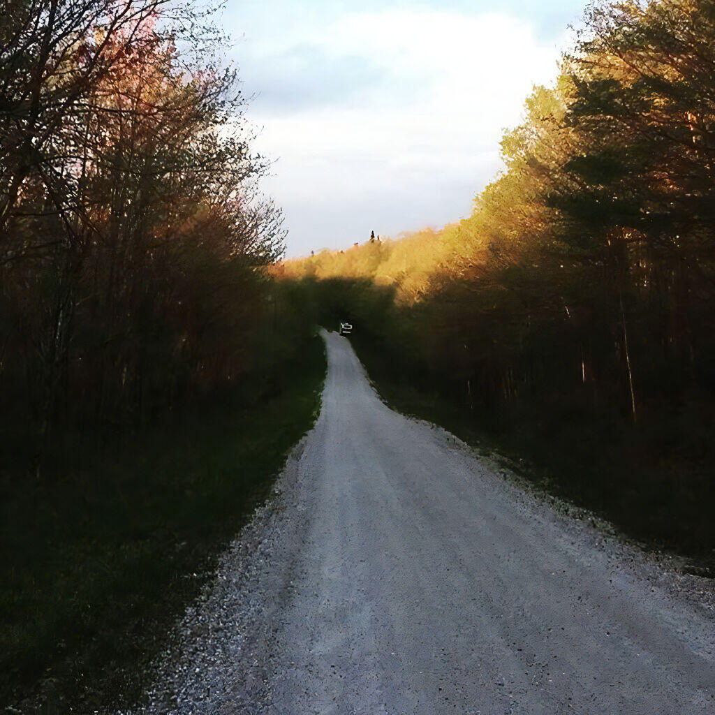 Photo: Branch Pond Road