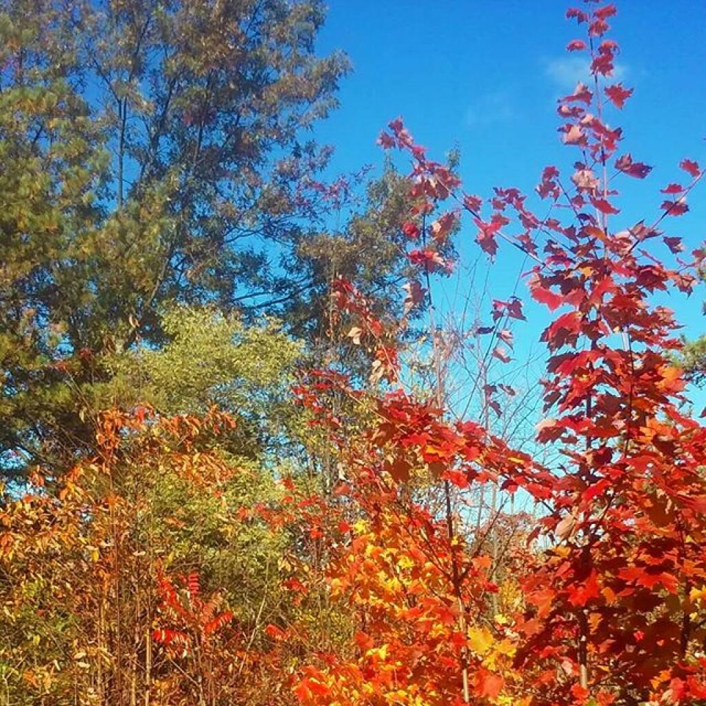 Photo: Saturday