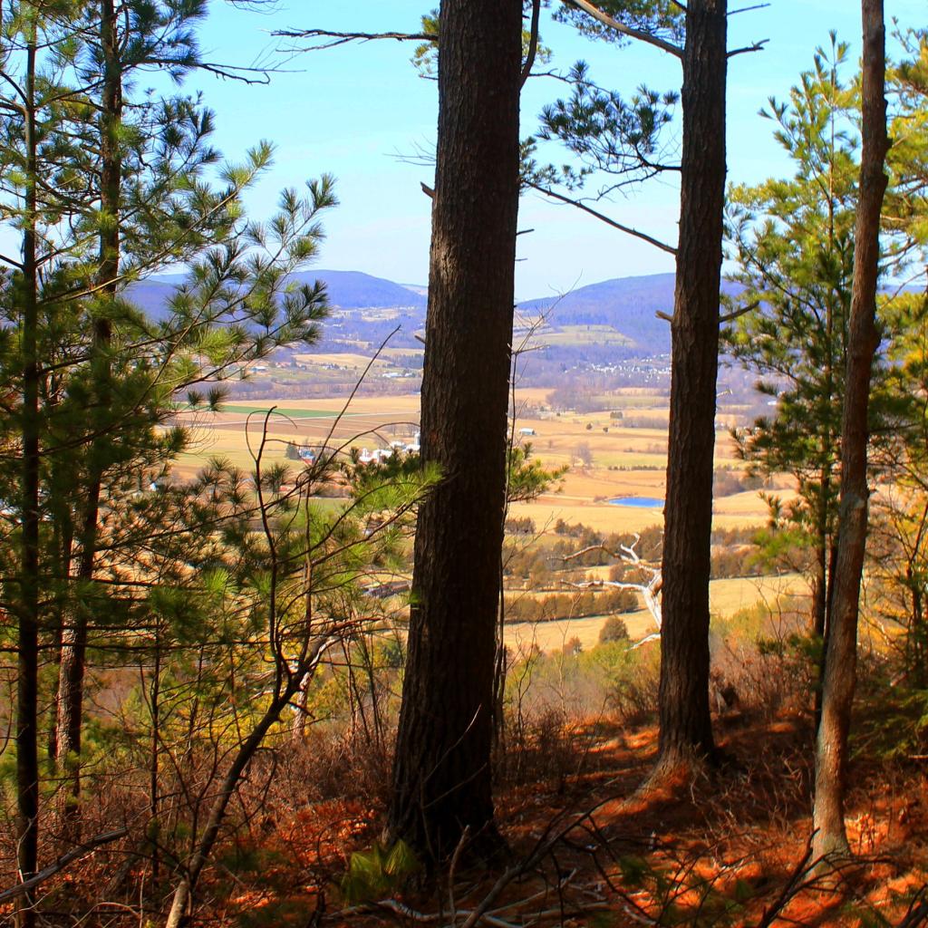 Photo: Towards Cobleskill
