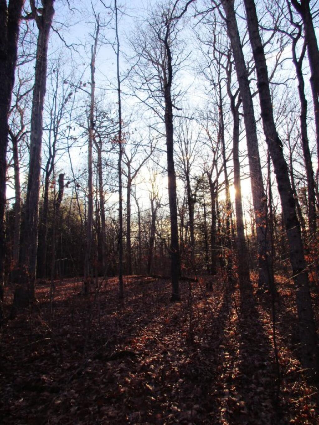 Photo: Afternoon