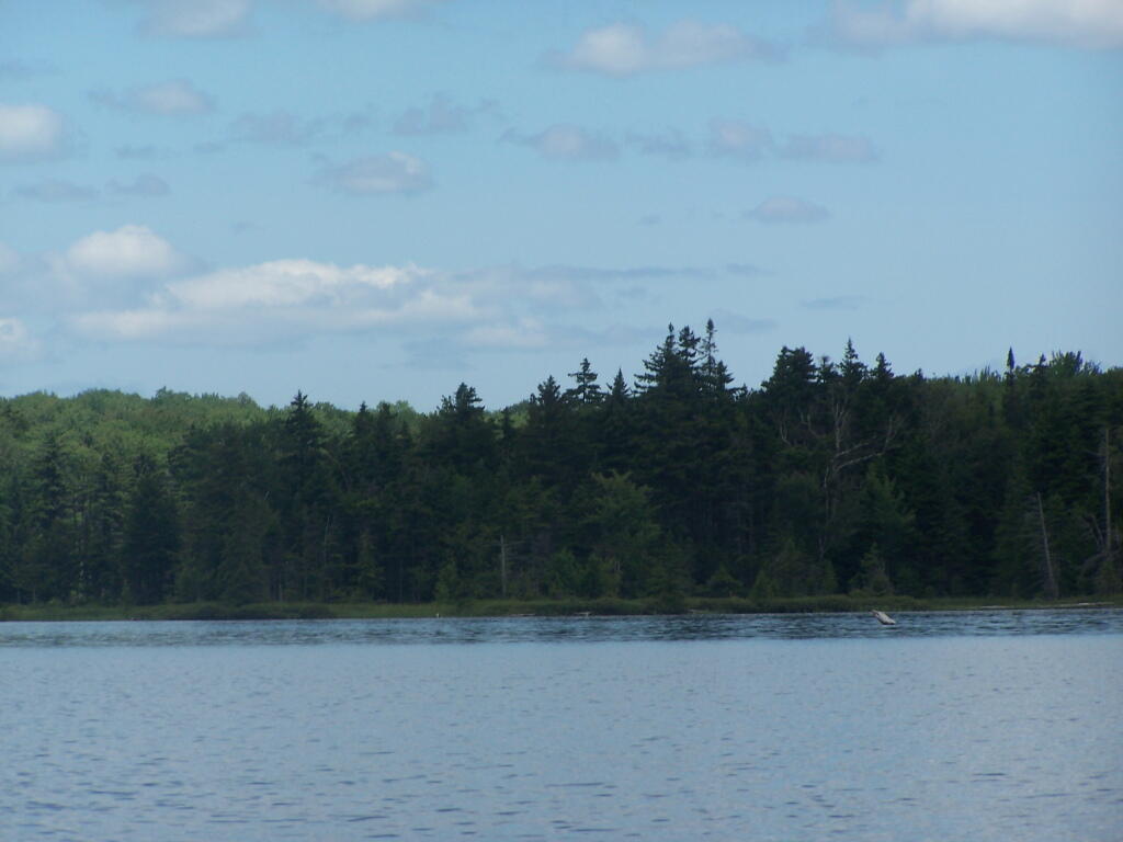 Photo: Motor Boat