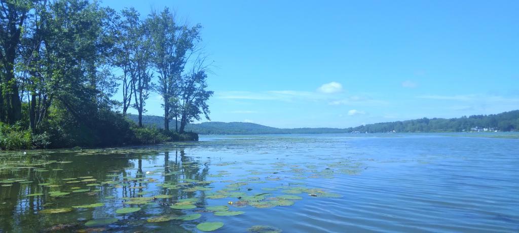 Photo: Cayuta Lake from the Inlet