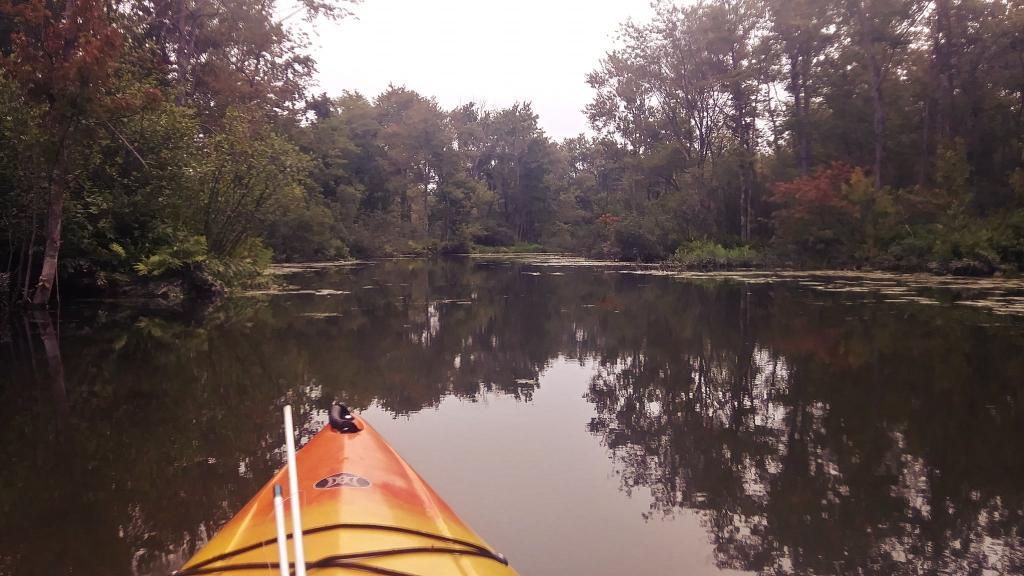 Photo: Paddling Cayuta Lake Inlet