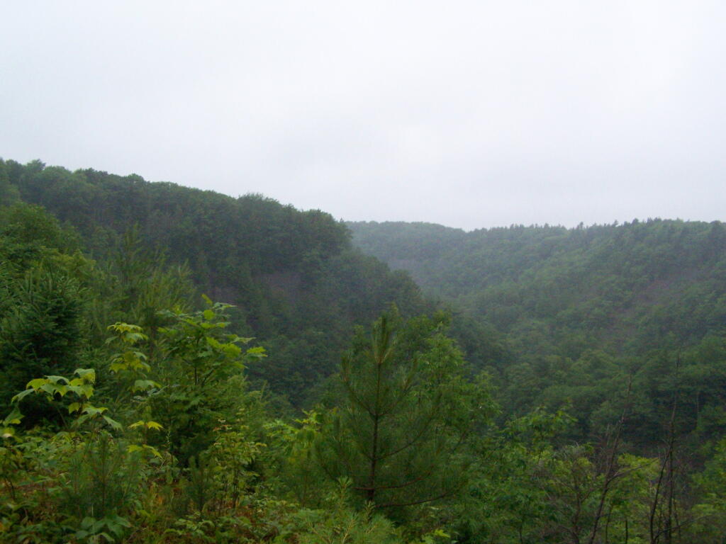 Photo: Open Area Near Powerline