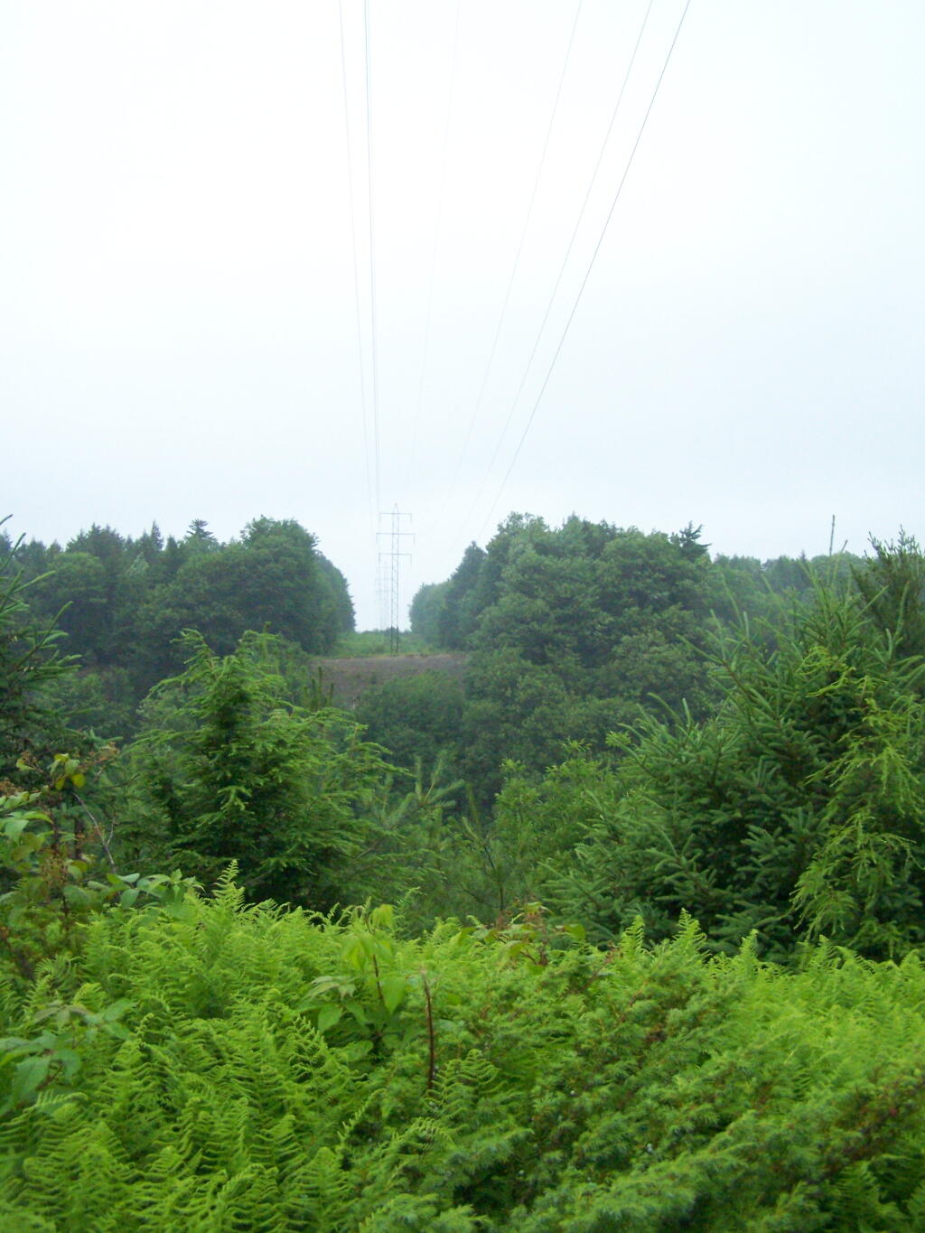 Photo: Powerline Crosses Canyon