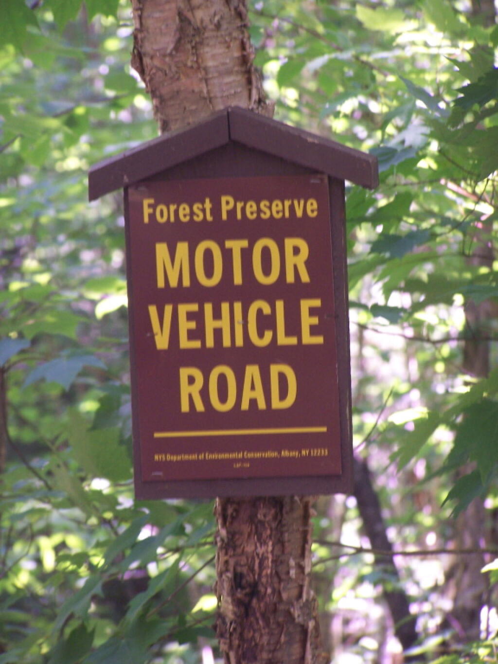 Photo: Motor Vehicle Road
