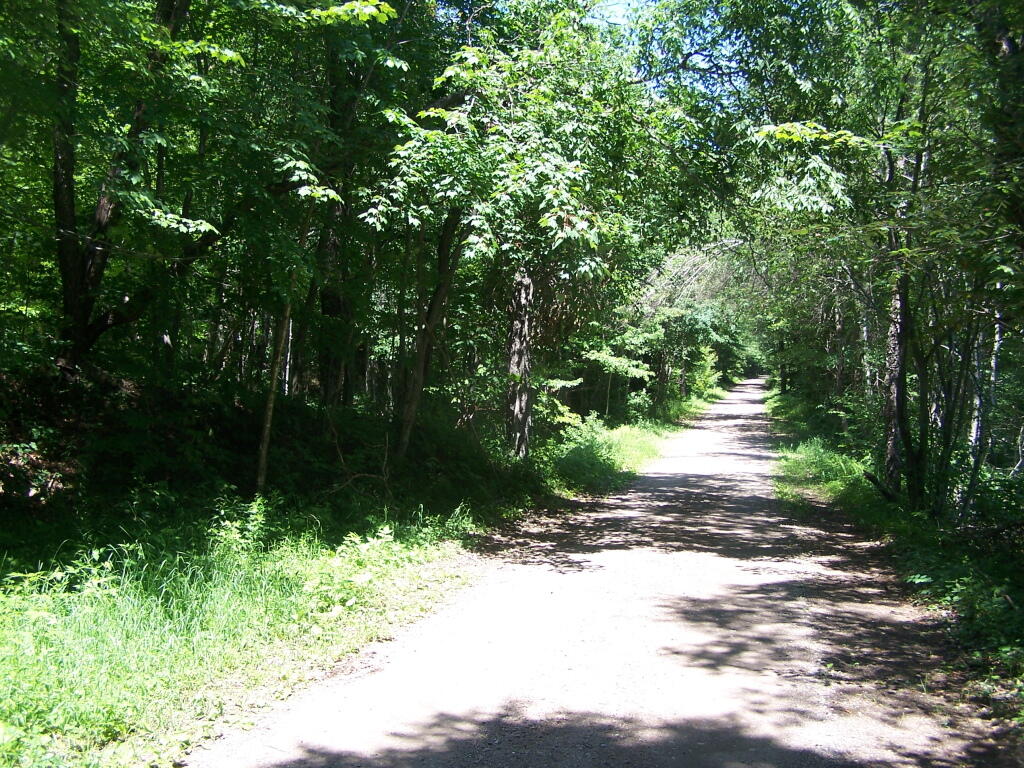 Photo: Streeter Lake Road