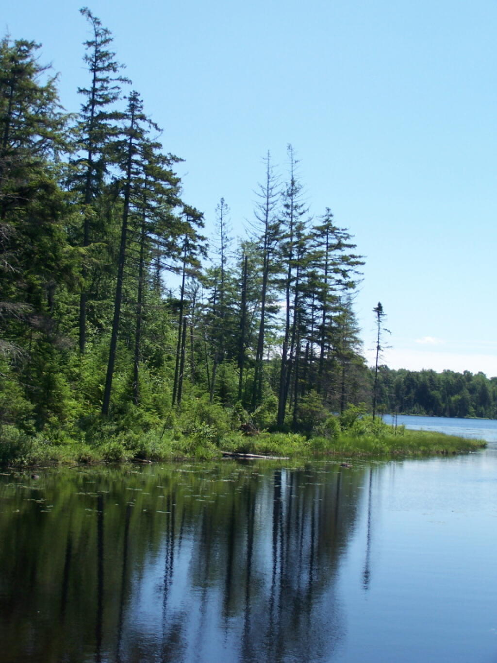 Photo: Edge of Streeter Lake