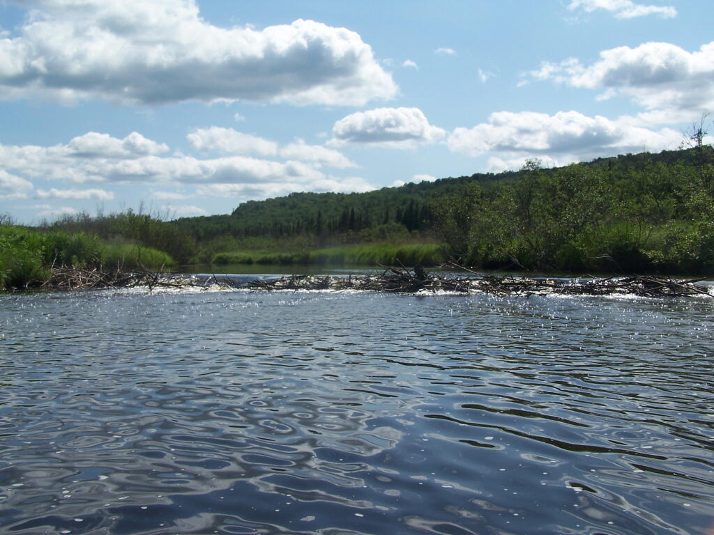 Photo: Big Beaver Dam