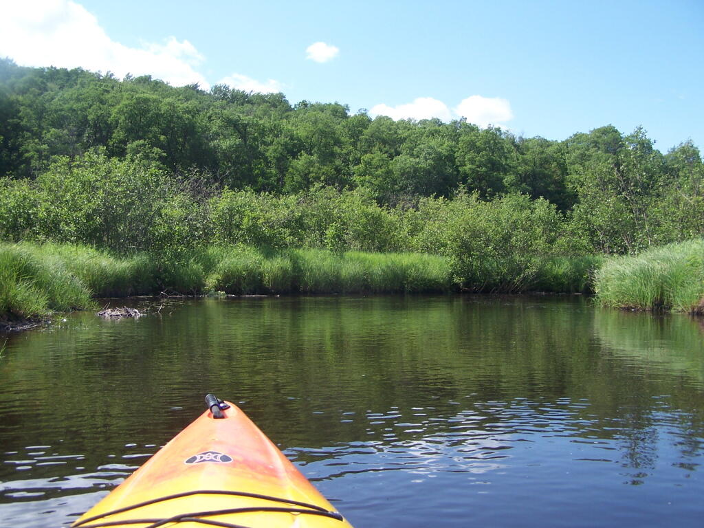 Photo: Paddling Along Mud River