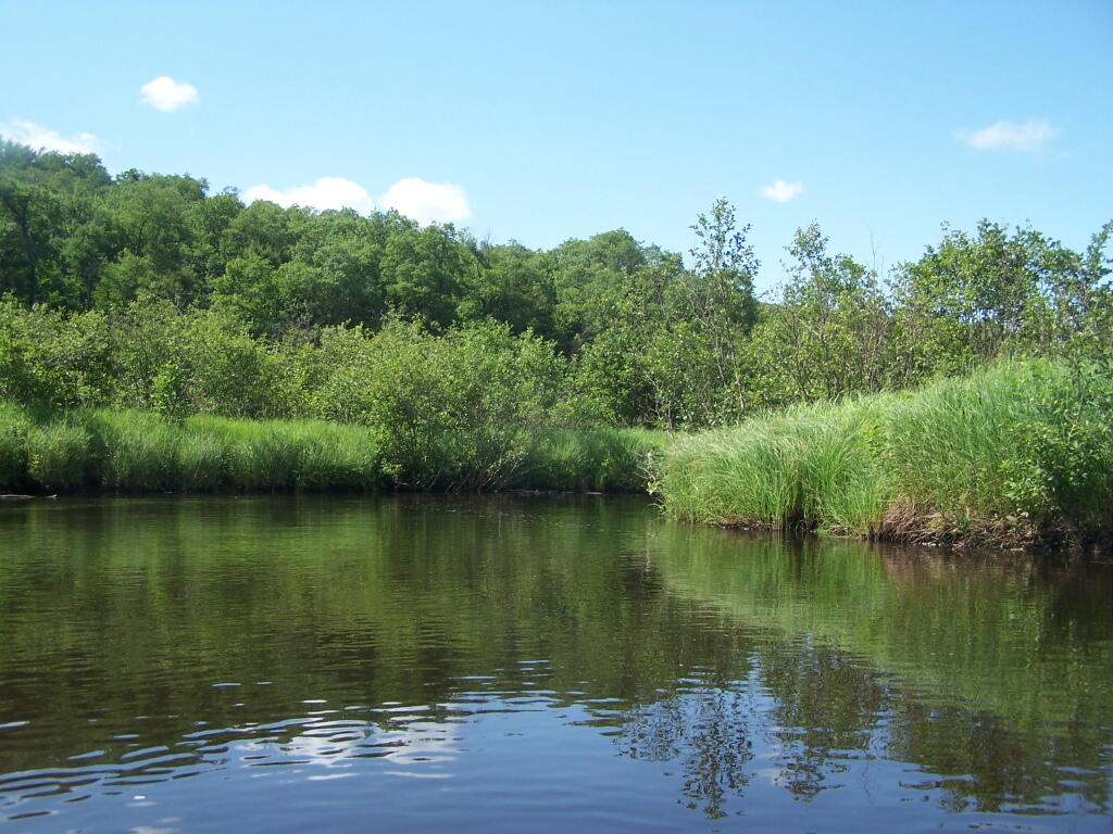 Photo: Mud River