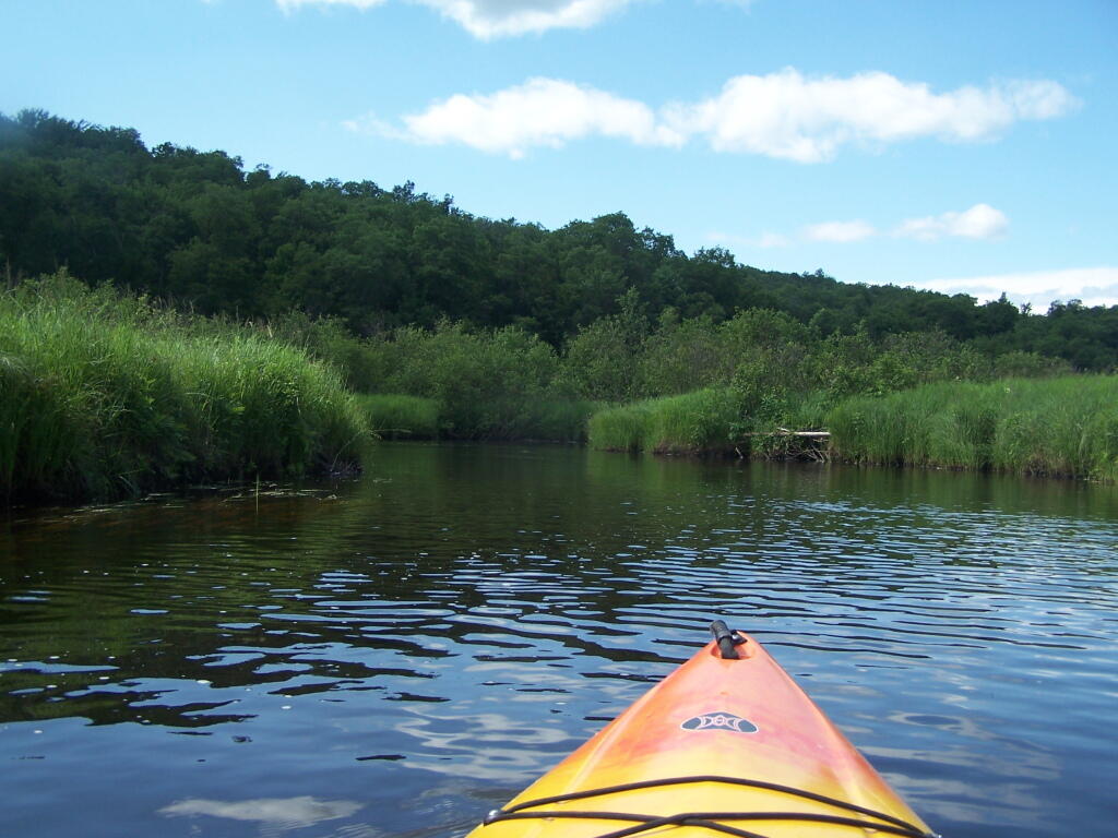 Photo: Along the Mud River