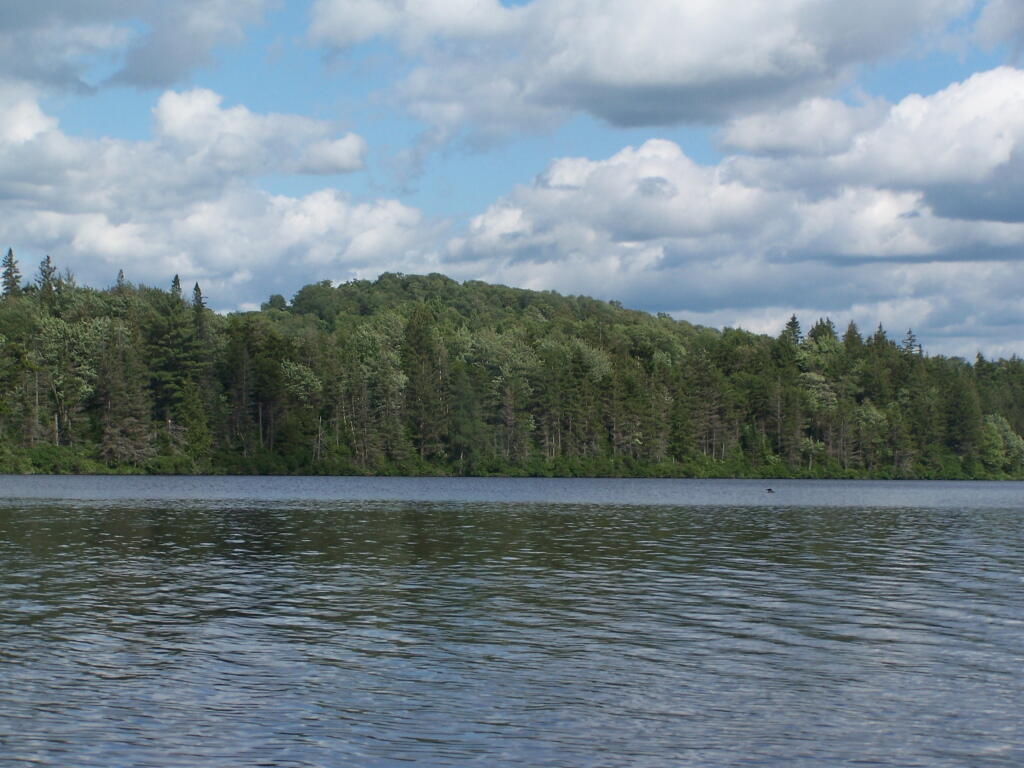 Photo: Streeter Mountain