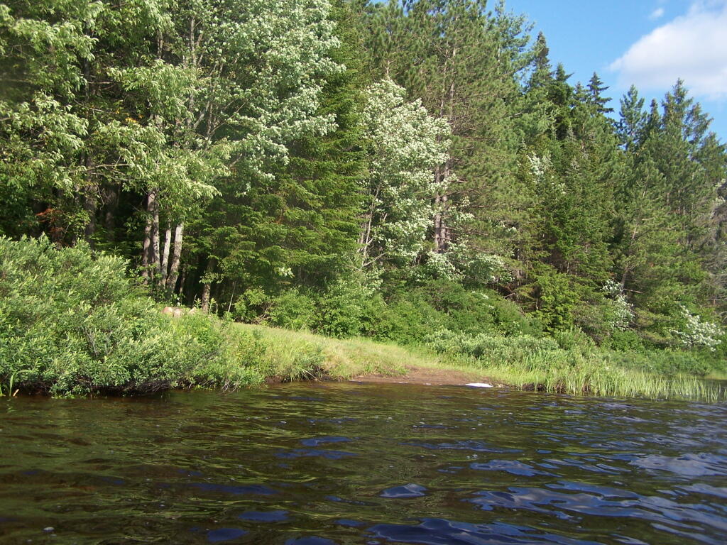 Photo: Campsite Along Lake