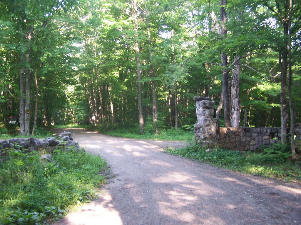Photo: Remains of Old Aldrich Estate