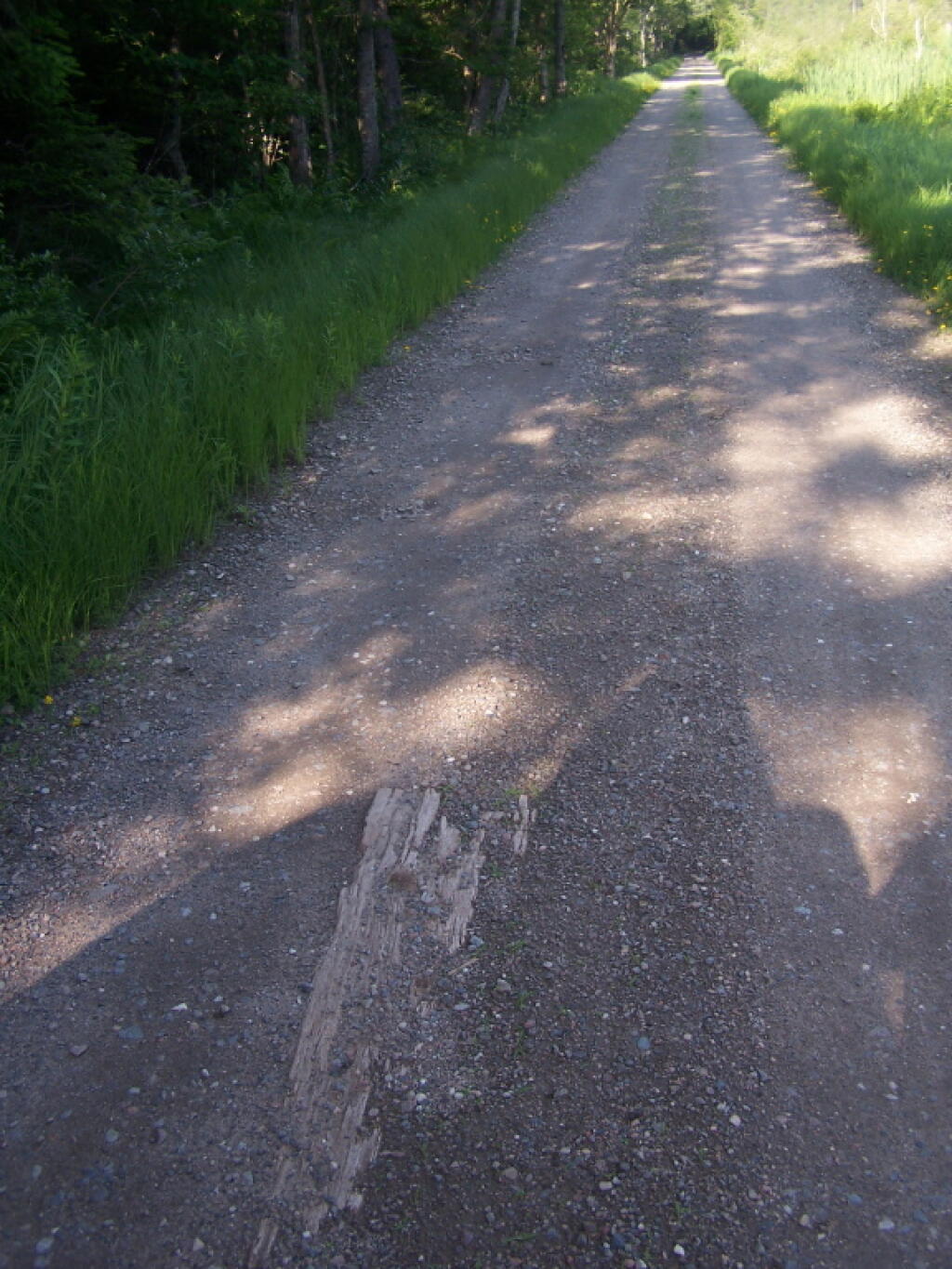 Photo: Old Board Road
