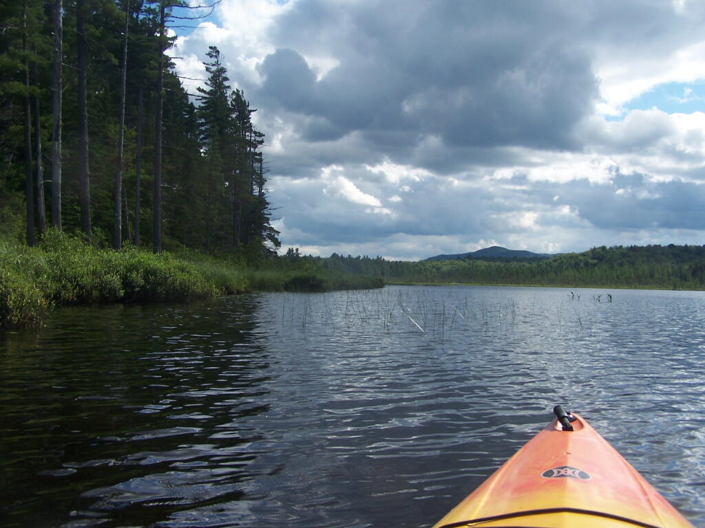 Photo: Edge of Barnum Pond