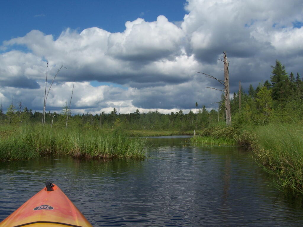 Photo: Through the Marshlands of the VIC