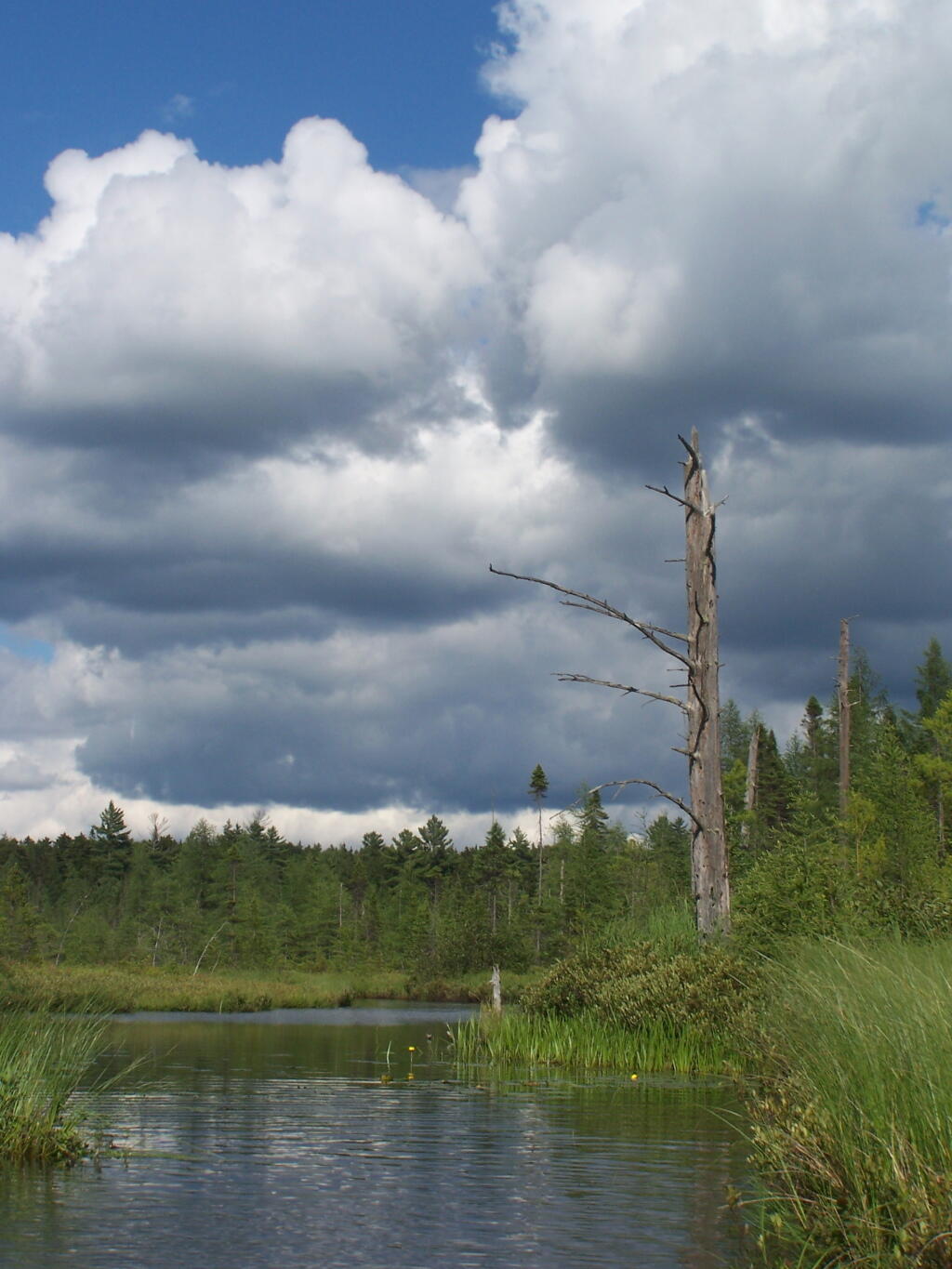 Photo: Clouds Over Barnum Pond Outlet