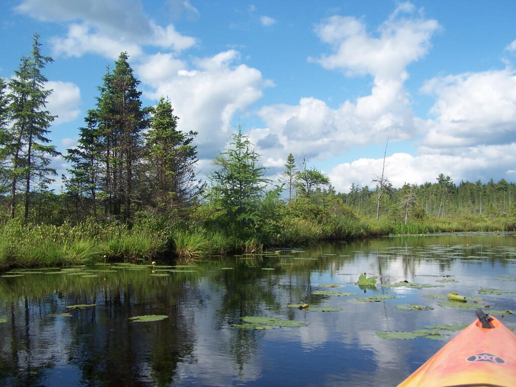 Photo: Heading Back to Barnum Pond
