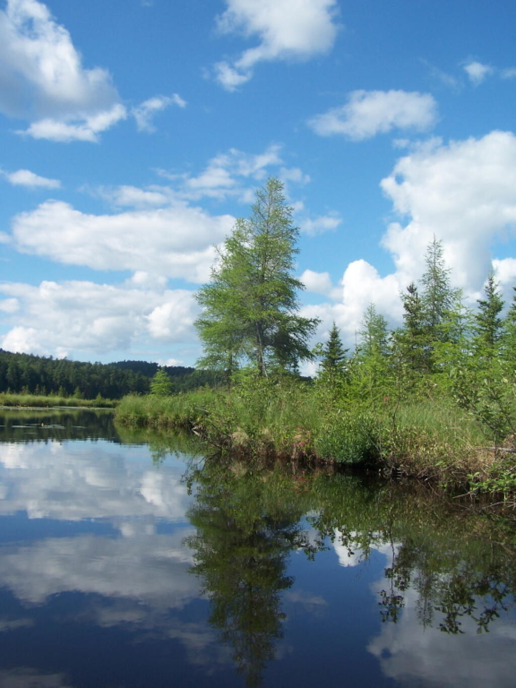Photo: Reflections