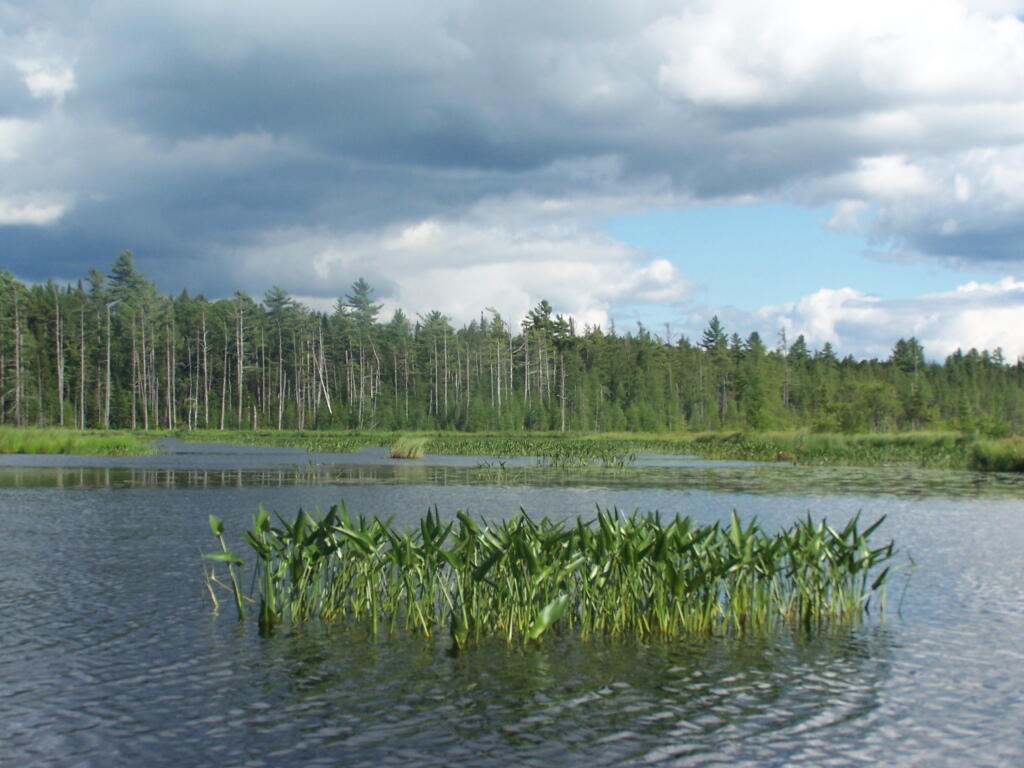 Photo: South West on Barnum Pond