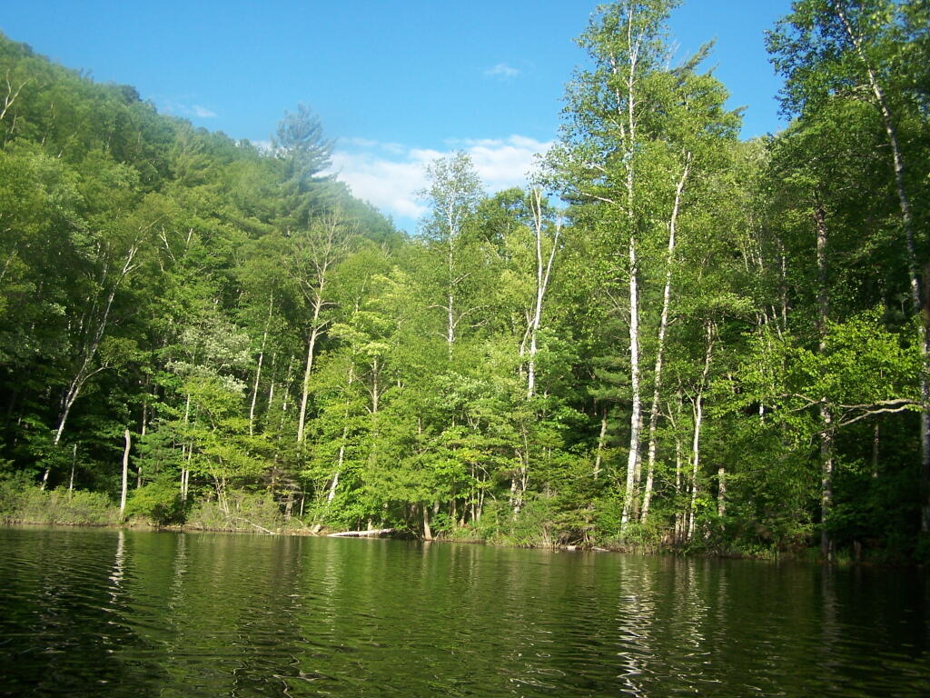 Photo: Southern End of Mountain Pond