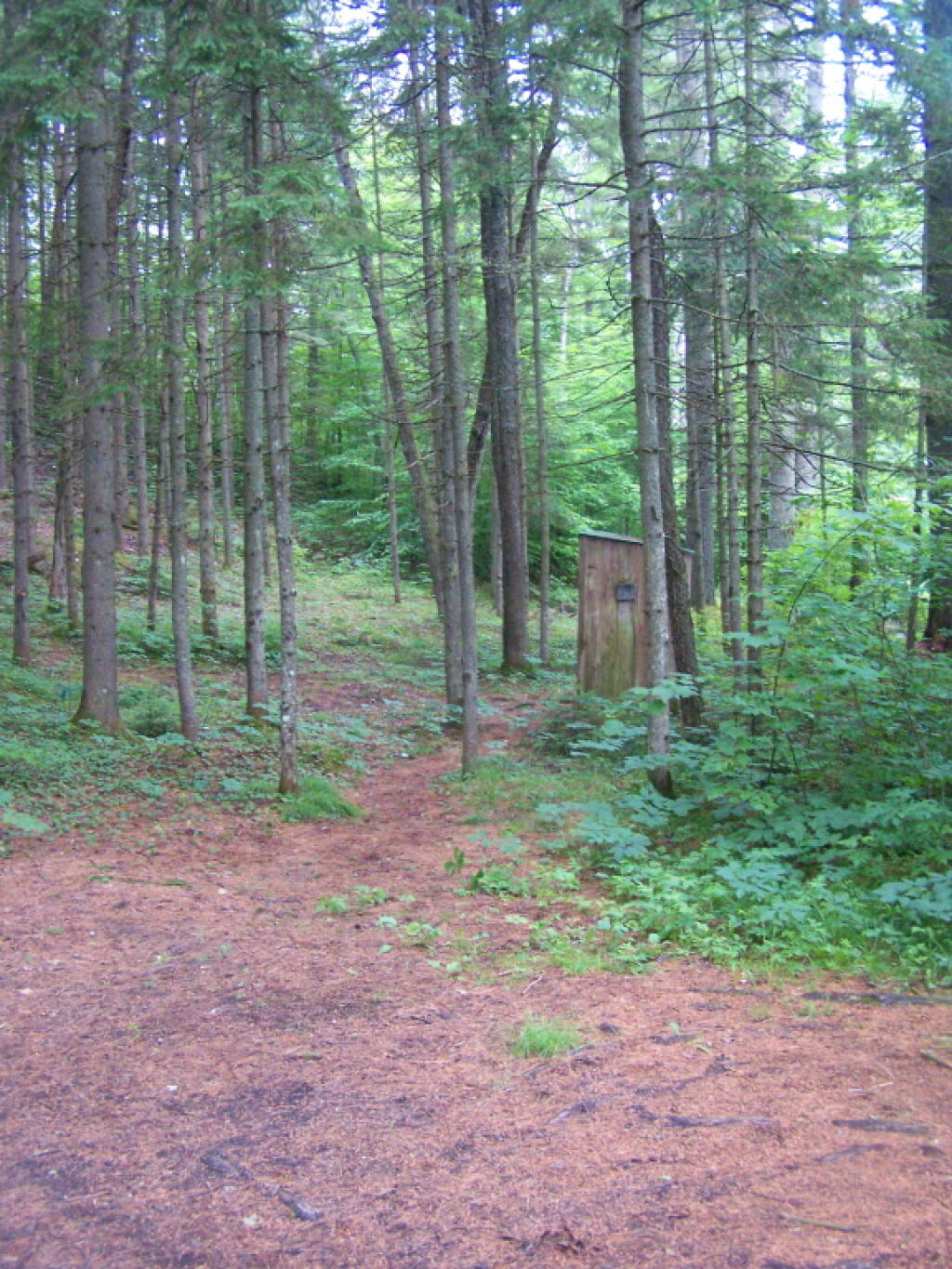 Photo: Mountain Pond Outhouse