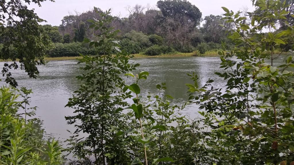 Photo: Seneca River is running high with a swift current