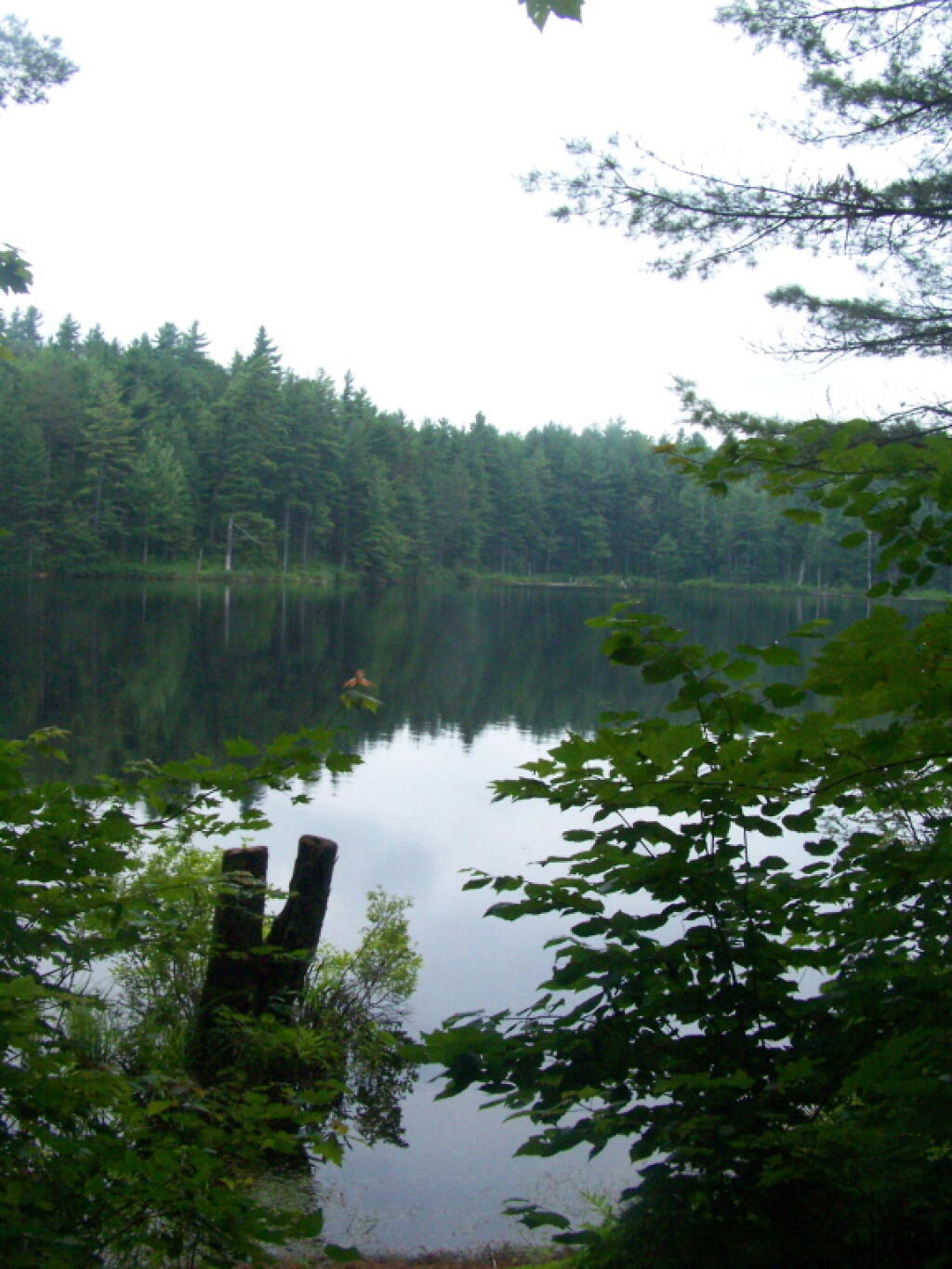 Photo: Mountain Pond