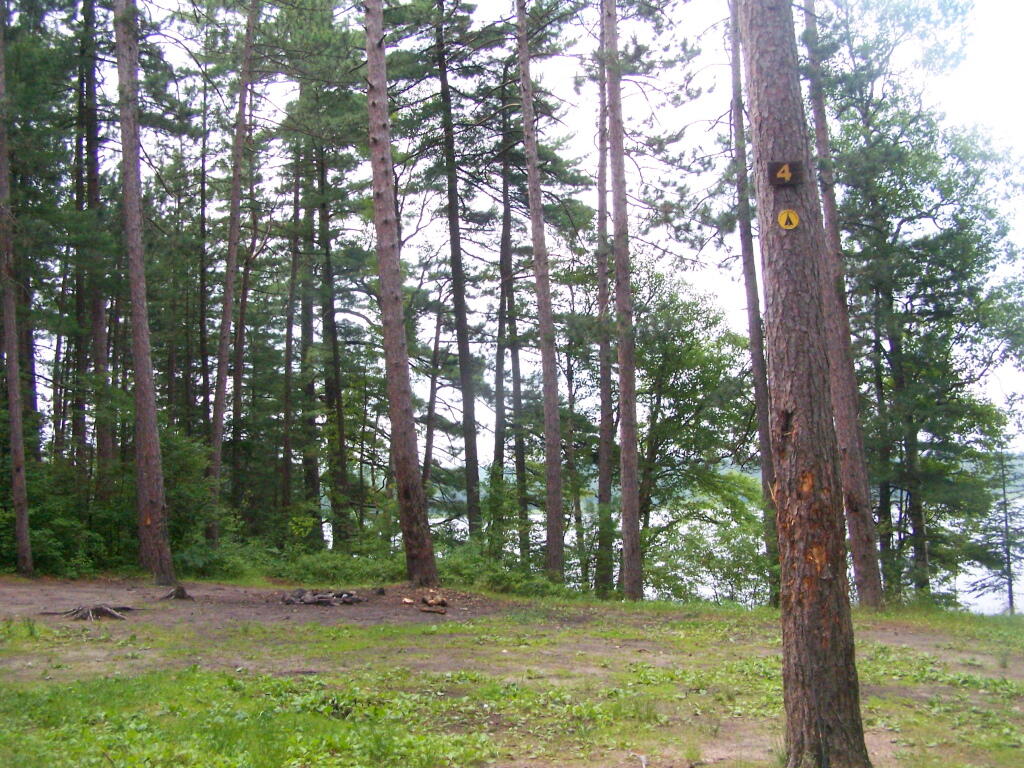 Photo: Campsite 4 at Long Pond