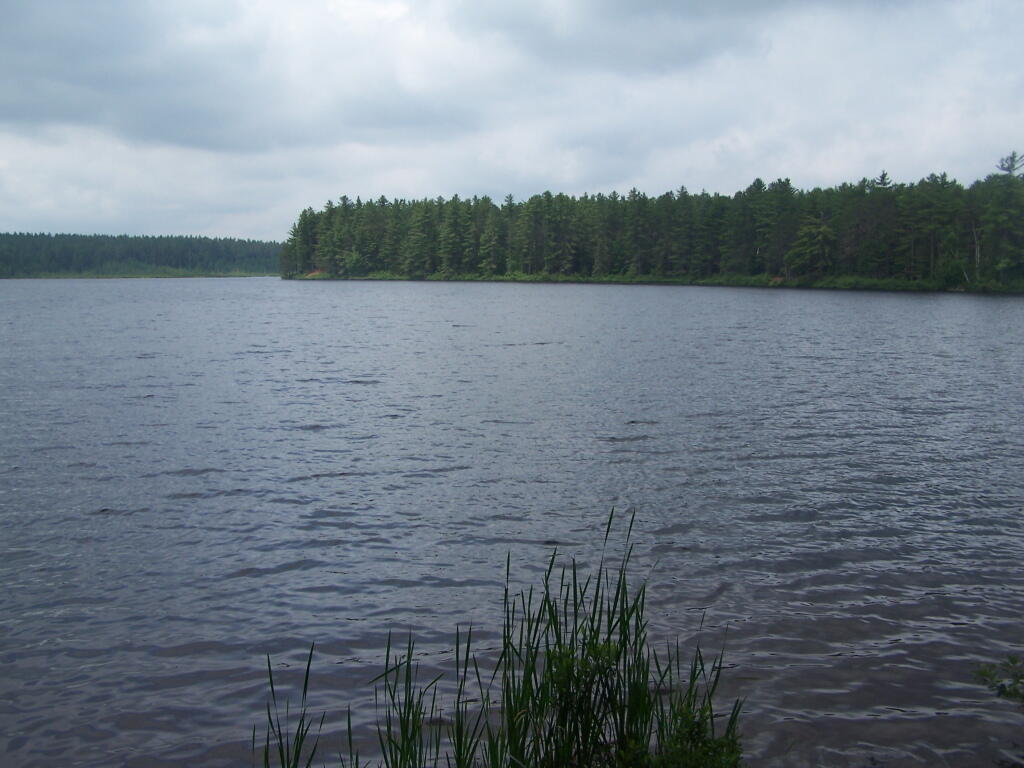 Photo: Jones Pond