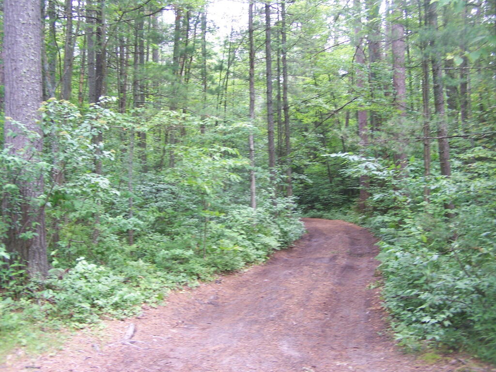 Photo: Narrow Truck Trail Between Campsites